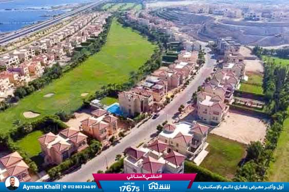 WhatsApp Image 2025-06-29 at 12.48.43 AM (1)