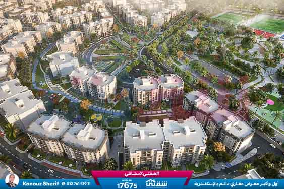 WhatsApp Image 2025-07-29 at 1.45.29 PM (5)