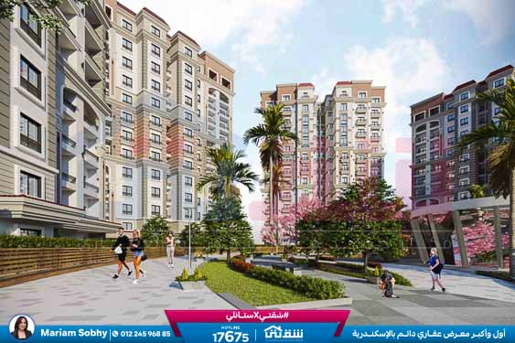 WhatsApp Image 2025-07-29 at 5.50.58 PM (1)