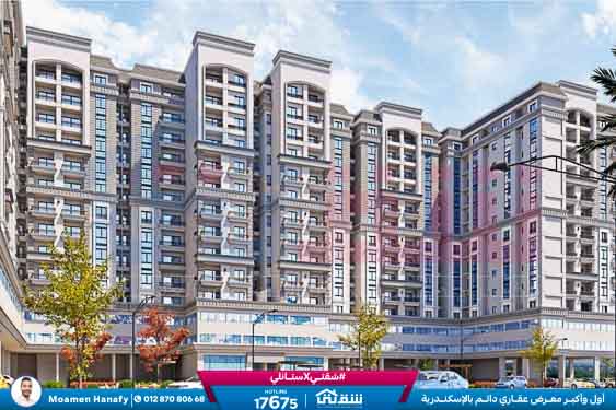 WhatsApp Image 2025-08-06 at 11.56.07 AM (1)