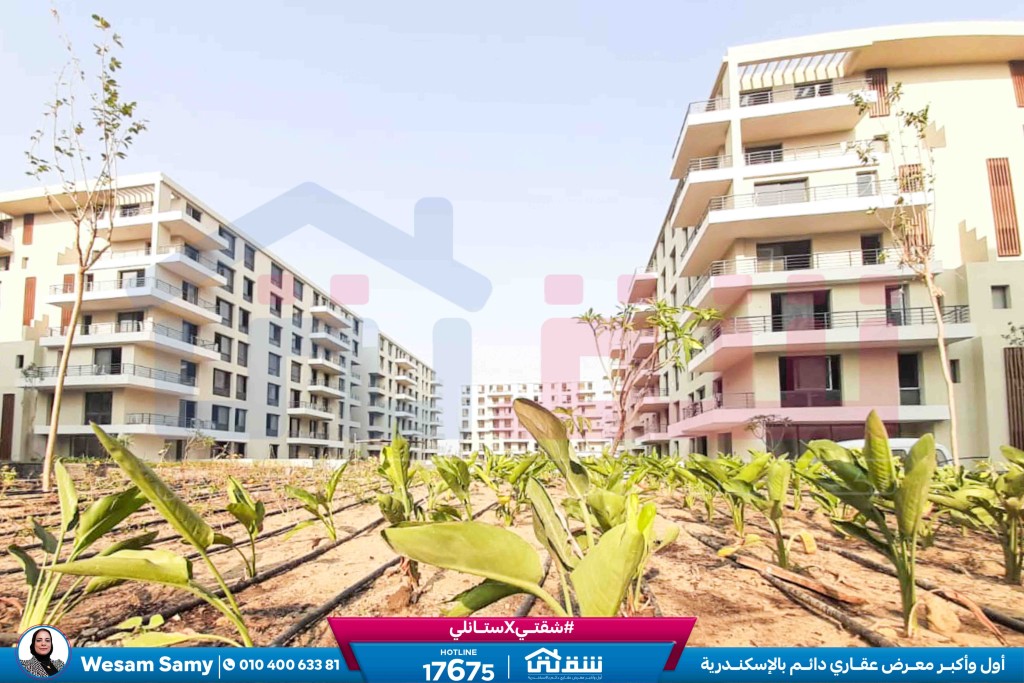 WhatsApp Image 2025-08-16 at 5.13.48 PM (1)