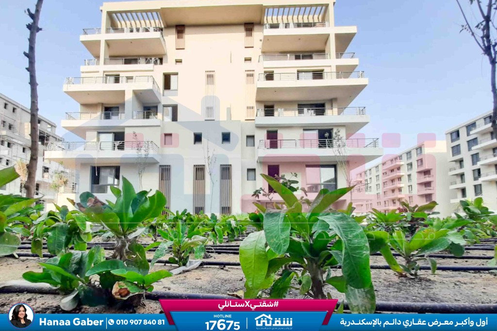 WhatsApp Image 2025-08-16 at 5.14.52 PM