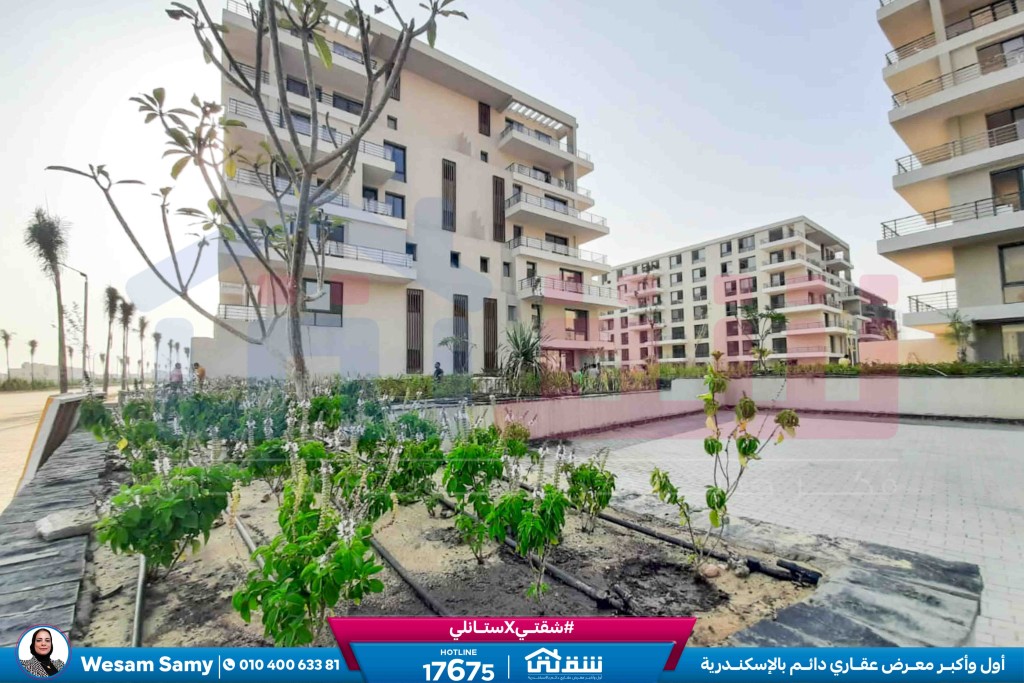 WhatsApp Image 2025-08-16 at 5.14.54 PM