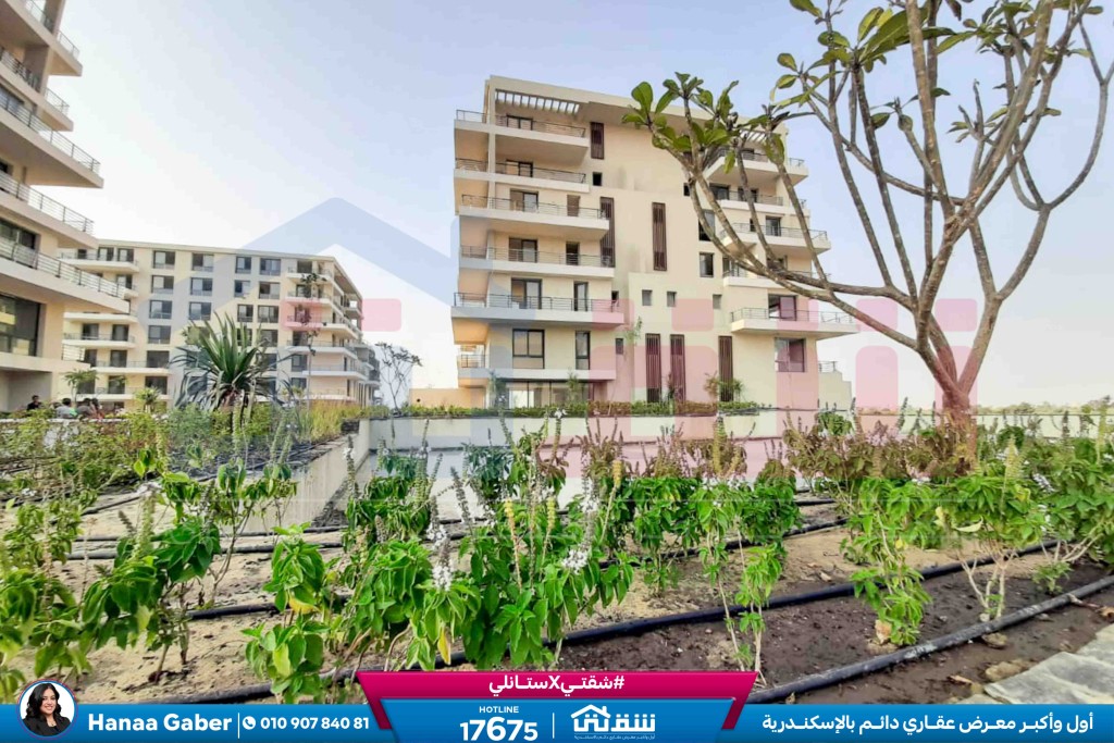 WhatsApp Image 2025-08-16 at 5.14.55 PM