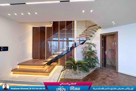 WhatsApp Image 2025-09-07 at 1.47.50 PM