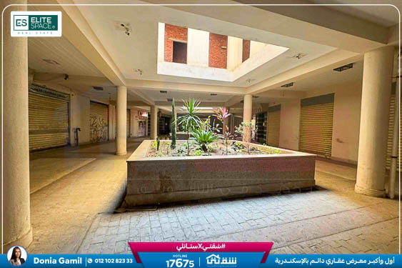 WhatsApp Image 2025-09-13 at 5.26.23 PM (2)