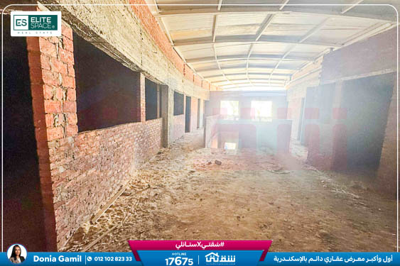 WhatsApp Image 2025-09-13 at 5.26.27 PM