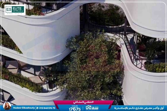 WhatsApp Image 2025-11-05 at 4.54.30 PM (1)