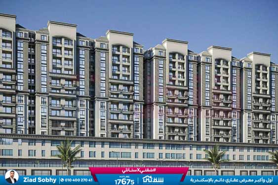 WhatsApp Image 2025-11-11 at 1.38.09 PM