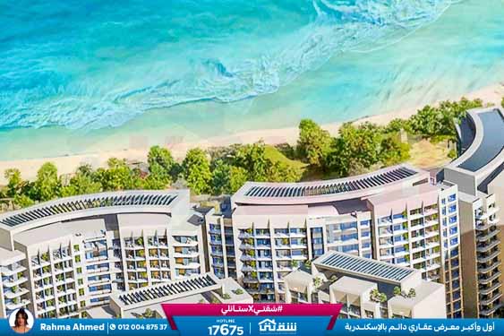 WhatsApp Image 2025-11-20 at 14.05.12 (1)