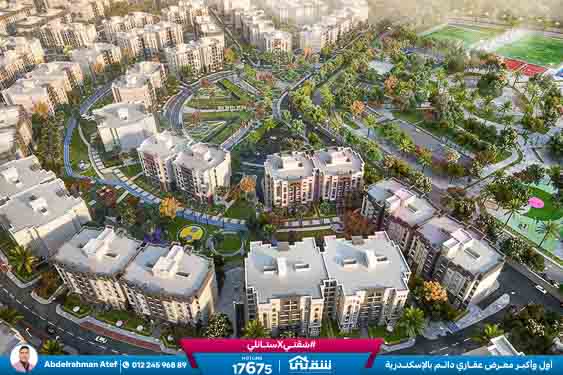 WhatsApp Image 2025-12-23 at 1.31.42 PM