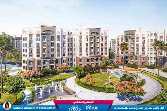 WhatsApp Image 2025-12-23 at 1.31.43 PM