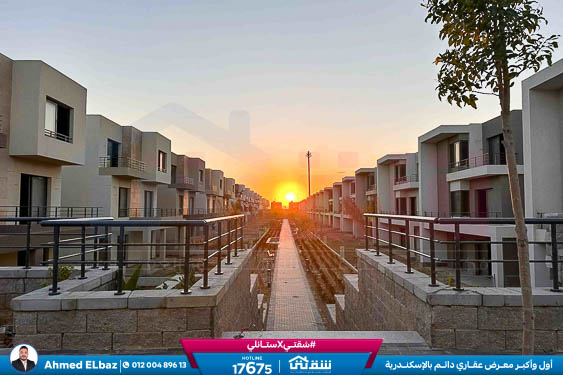 WhatsApp Image 2025-12-25 at 16.44.26