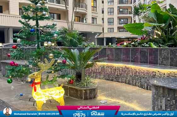 WhatsApp Image 2026-01-05 at 1.08.44 PM