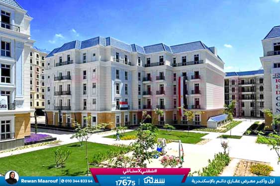 WhatsApp Image 2026-01-14 at 2.43.43 PM (4)