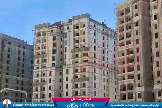 WhatsApp Image 2026-01-17 at 2.13.40 PM