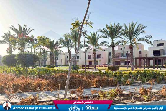 WhatsApp Image 2026-01-17 at 2.14.33 PM (1)