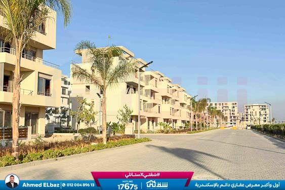 WhatsApp Image 2026-01-17 at 2.14.41 PM