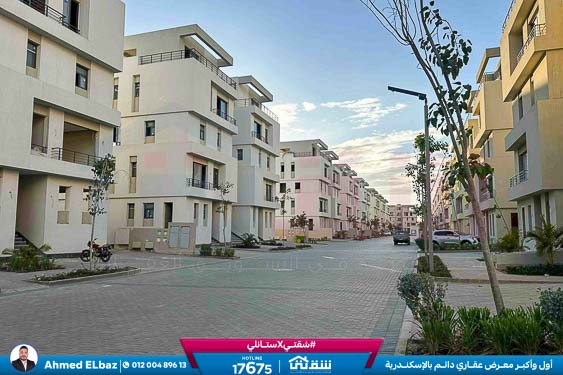 WhatsApp Image 2026-01-17 at 2.14.44 PM