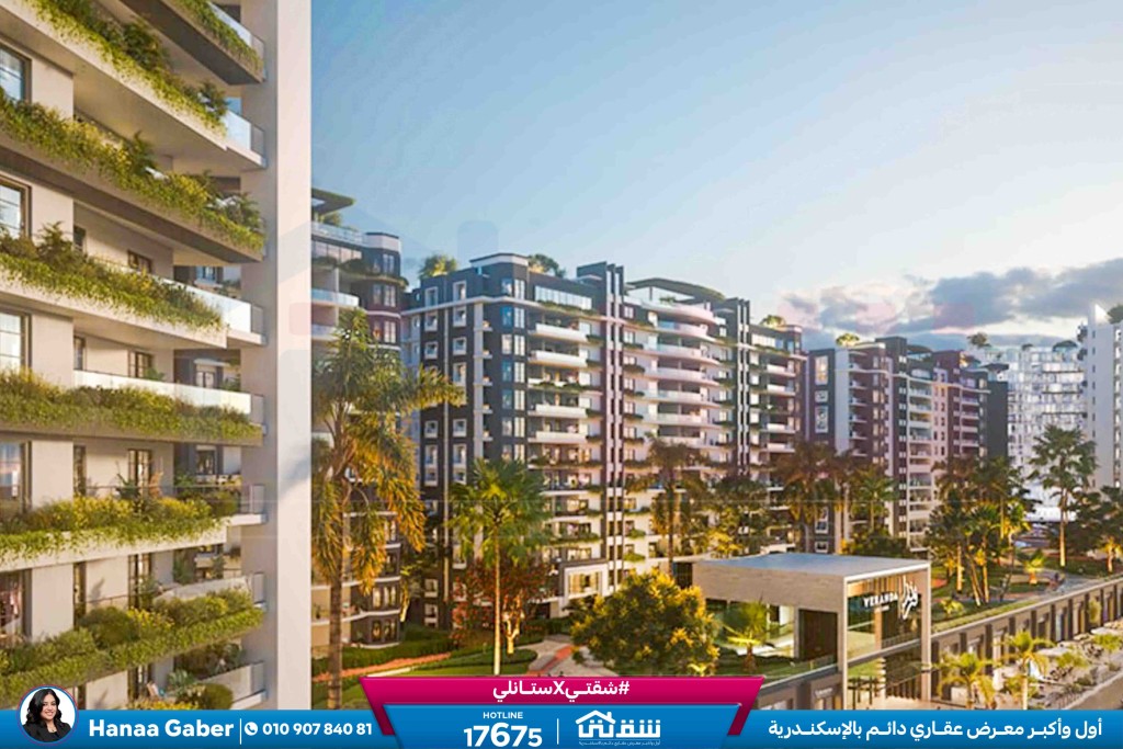 WhatsApp Image 2026-01-20 at 1.58.25 PM (2)