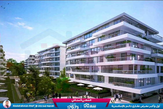 WhatsApp Image 2026-01-26 at 1.47.32 PM