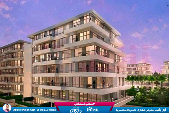 WhatsApp Image 2026-01-26 at 1.47.33 PM (1)