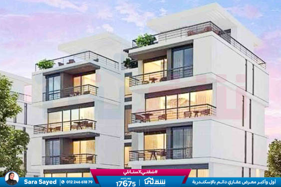 WhatsApp Image 2026-01-27 at 1.57.28 PM (1)