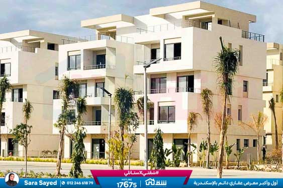 WhatsApp Image 2026-01-27 at 1.57.28 PM