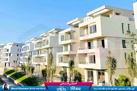 WhatsApp Image 2026-01-27 at 1.57.29 PM