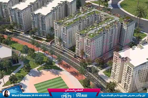 WhatsApp Image 2026-01-28 at 11.00.43 AM (1)