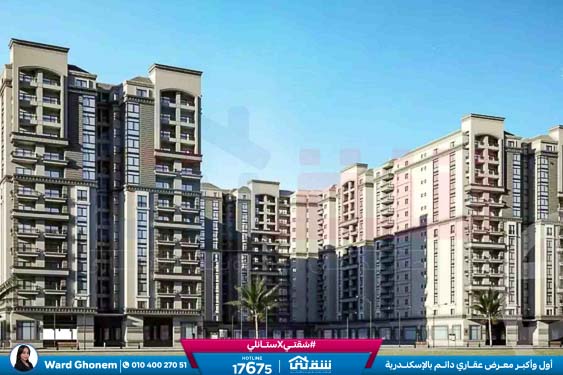 WhatsApp Image 2026-01-28 at 11.00.43 AM