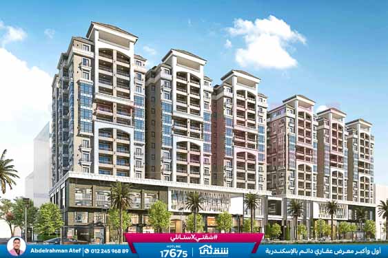 WhatsApp Image 2026-01-28 at 3.23.39 PM (1)