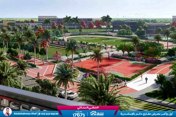 WhatsApp Image 2026-01-28 at 3.23.41 PM (1)