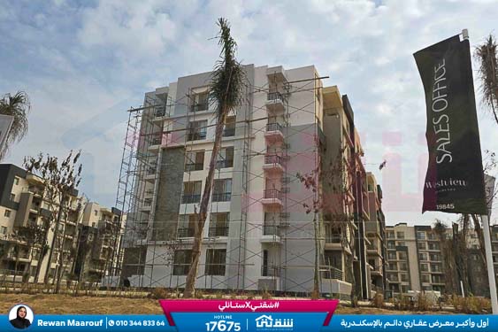 WhatsApp Image 2026-01-31 at 1.14.26 PM