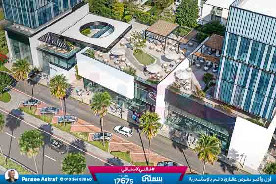 WhatsApp Image 2026-01-31 at 11.30.37 AM