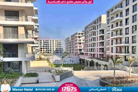 WhatsApp Image 2026-01-31 at 3.20.32 PM (1)