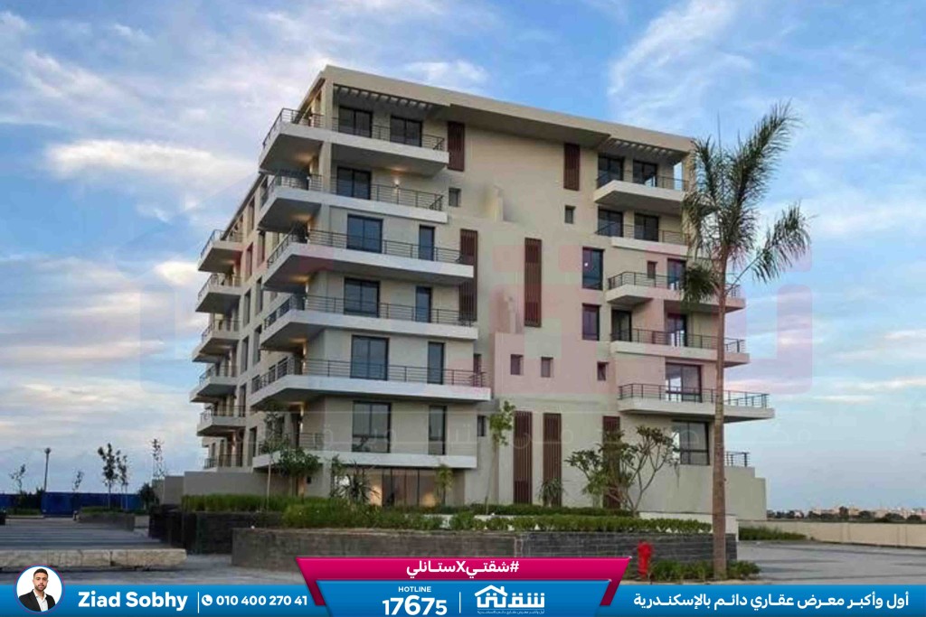 WhatsApp Image 2026-01-31 at 3.20.32 PM (2)