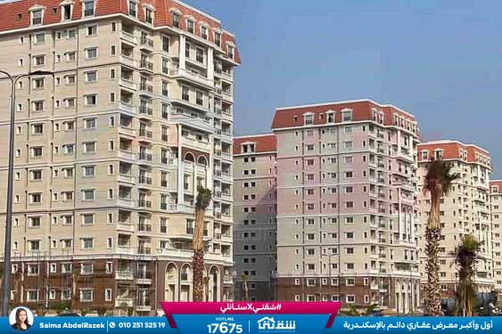 WhatsApp Image 2026-02-01 at 3.13.18 PM