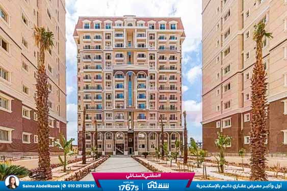 WhatsApp Image 2026-02-01 at 3.13.20 PM