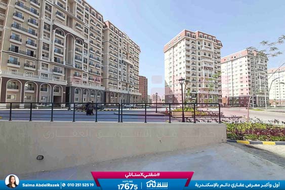 WhatsApp Image 2026-02-01 at 3.13.25 PM (1)