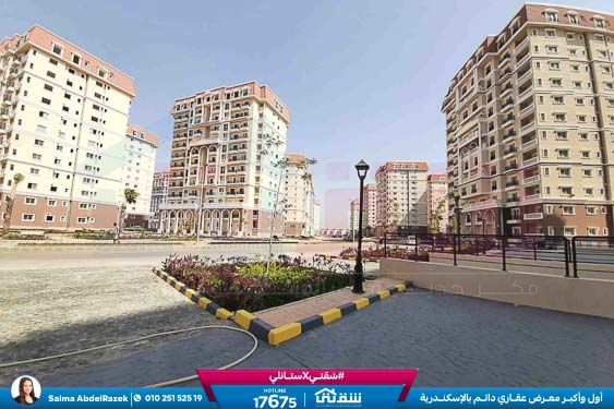 WhatsApp Image 2026-02-01 at 3.13.28 PM