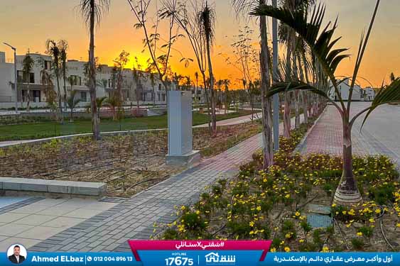 WhatsApp Image 2026-02-02 at 3.15.10 PM