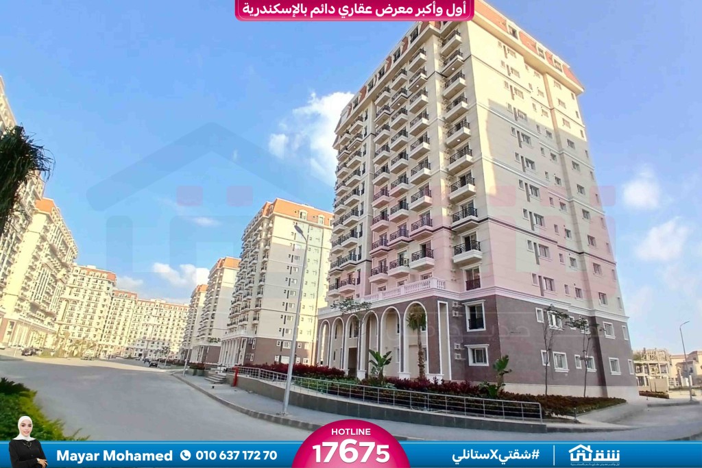 WhatsApp Image 2026-02-03 at 2.11.53 PM