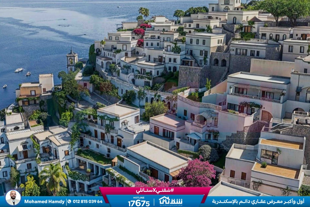 WhatsApp Image 2026-02-03 at 3.07.43 PM