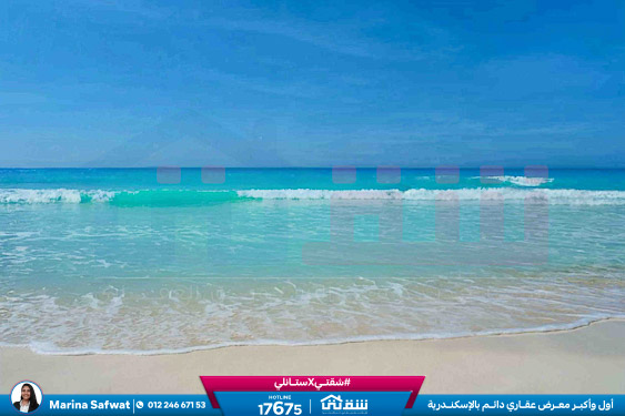 WhatsApp Image 2026-02-04 at 1.18.53 PM