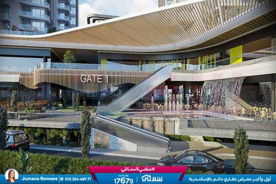 WhatsApp Image 2026-02-04 at 12.13.21 PM (1)