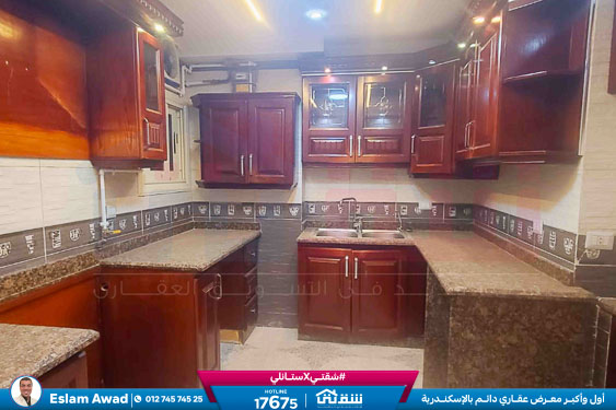 WhatsApp Image 2026-02-05 at 12.44.52 PM