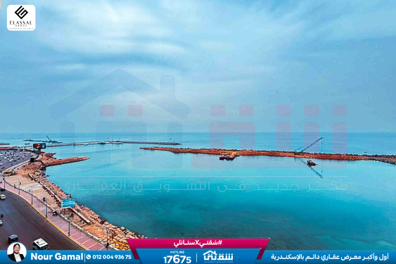 WhatsApp Image 2026-02-07 at 10.18.43 AM (2)