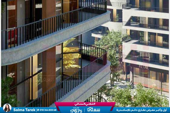 WhatsApp Image 2026-02-07 at 10.27.20 AM (1)