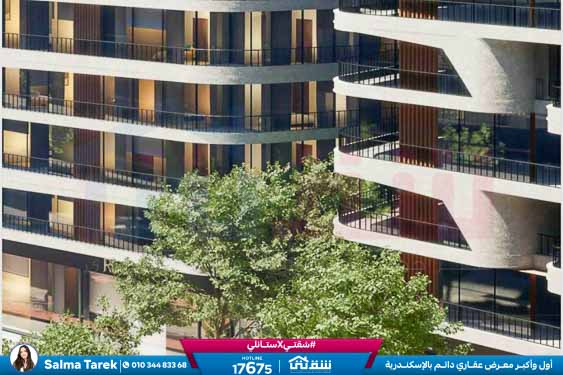 WhatsApp Image 2026-02-07 at 10.27.20 AM